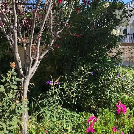 Rezarvazyon Yapma Tesis Kiralik Degil Apartman
